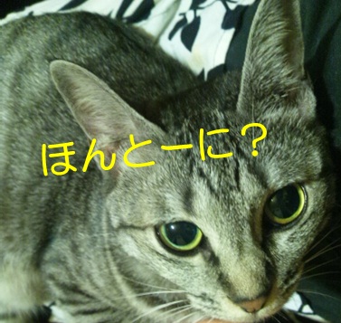 20120915_5.jpg