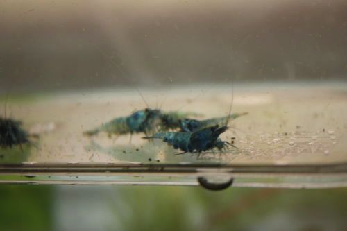 2015051802.jpg
