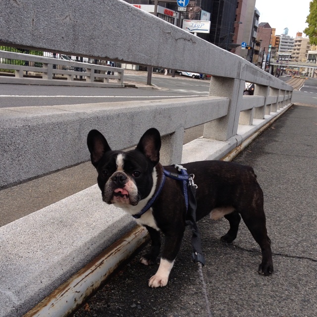 rblog-20130421083257-01.jpg