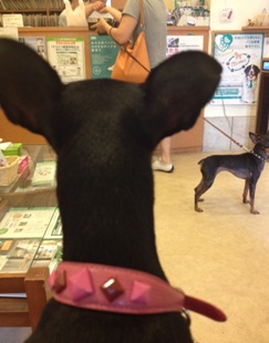 病院