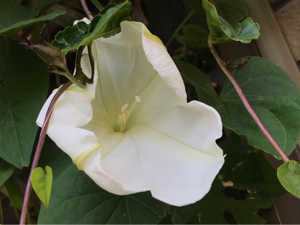 rblog-20181029111344-04.jpg