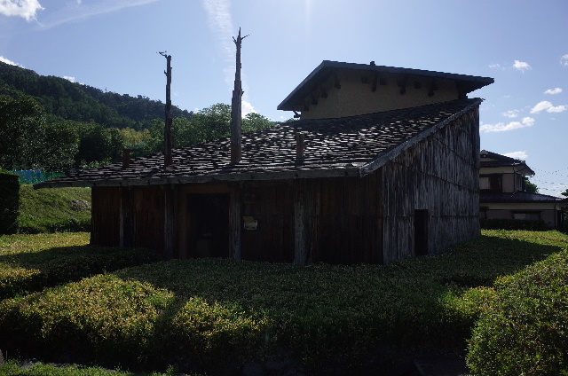 1406140020.JPG