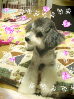 20121024aJPG.JPG