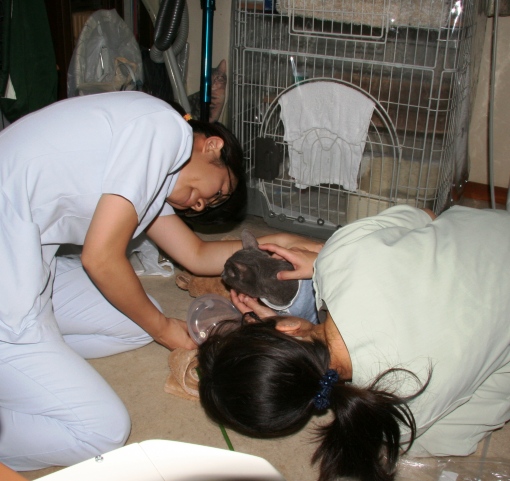 20140928ﾗﾝ02.jpg