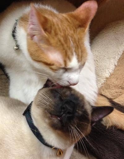 resized___ 5-min.jpg