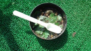 20120812093042.jpg