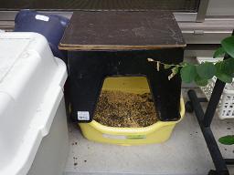 外猫トイレ722 (1).JPG