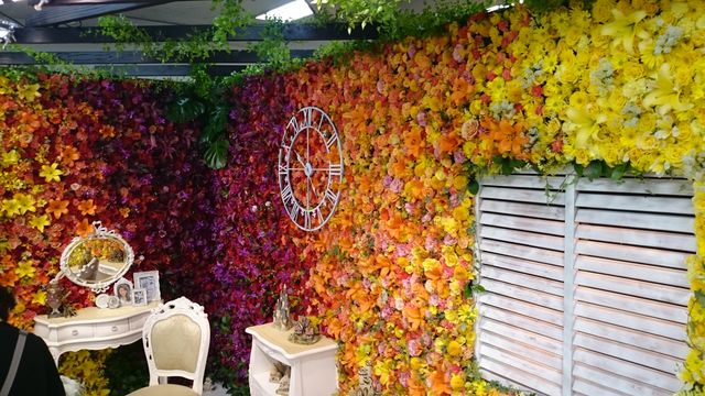 2016-02-14 10.23.44.jpg