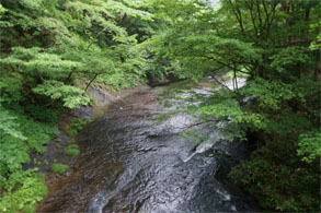 佳松園159.jpg