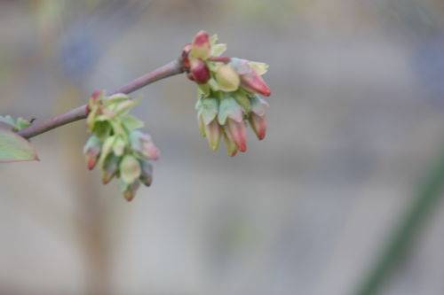 2015040804.JPG
