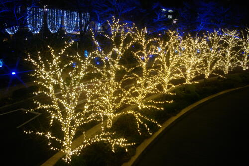 東京ミッドタウンのクリスマスイルミネーション