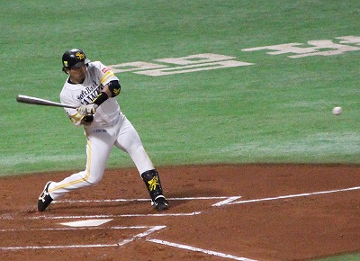 IMG_3627.jpg