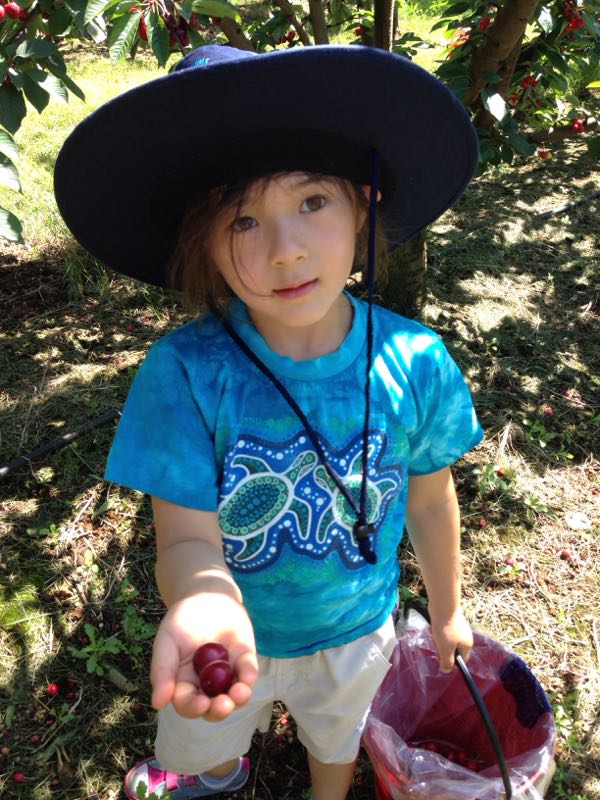 rblog-20141124132338-01.jpg