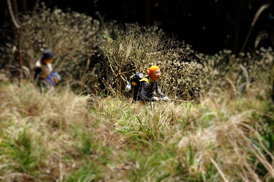 2016 04 10_3074.jpg