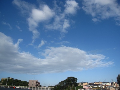 IMG_9795.JPG