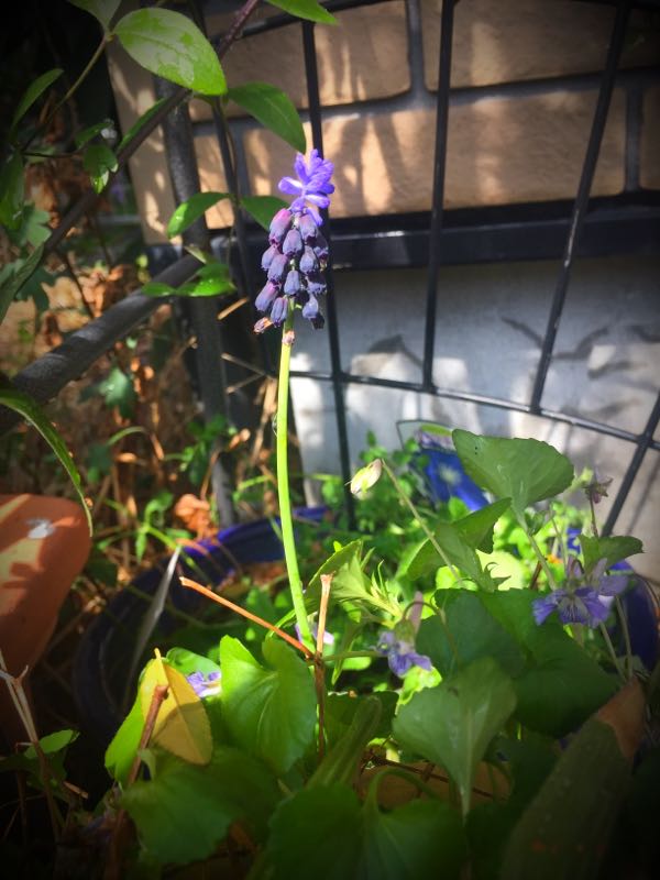 rblog-20160406142601-03.jpg