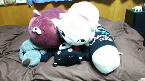 rblog-20170224221610-01.jpg