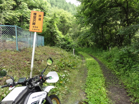 横屋沢林道