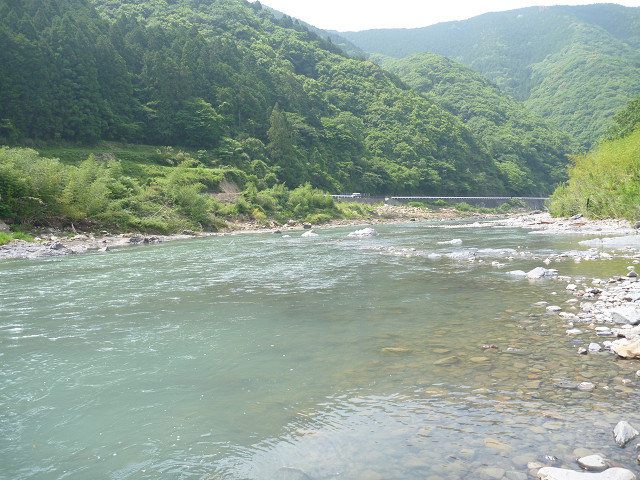 resize0006.jpg