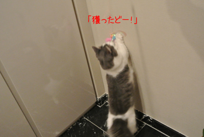 mumu4.jpg