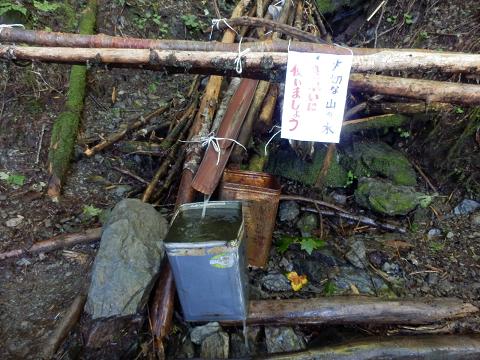 水場の水量多し.JPG