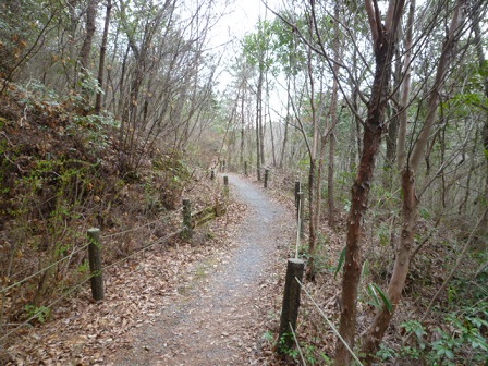 整備された散策路.JPG