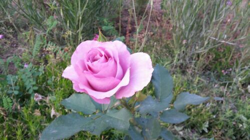 rblog-20170520190158-07.jpg