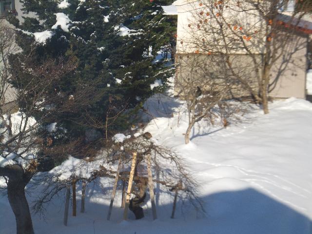 DSCF3013.jpg