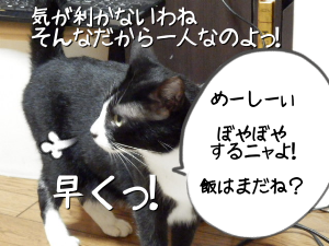 P6280007.png