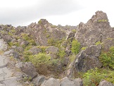 DSCN0146.JPG