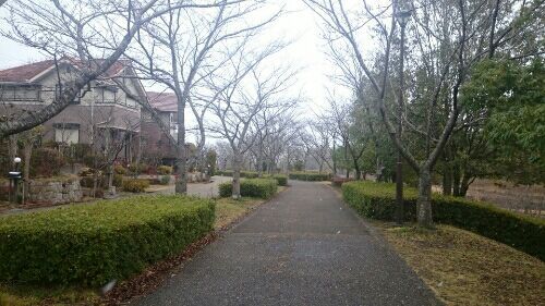 rblog-20180103204756-02.jpg