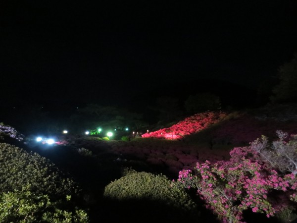 つつじライトアップ