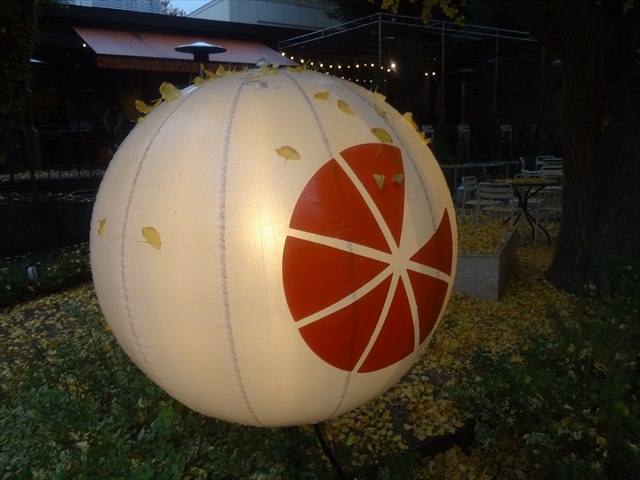DSC07798_R.JPG