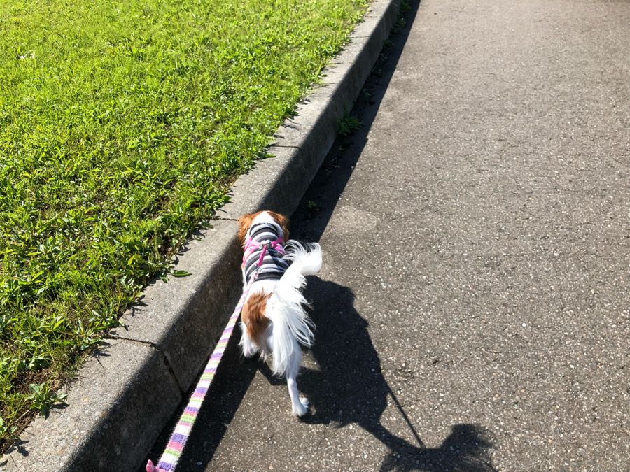 rblog-20181022121920-06.jpg
