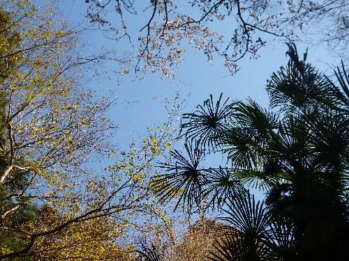 P1140488(1).JPG