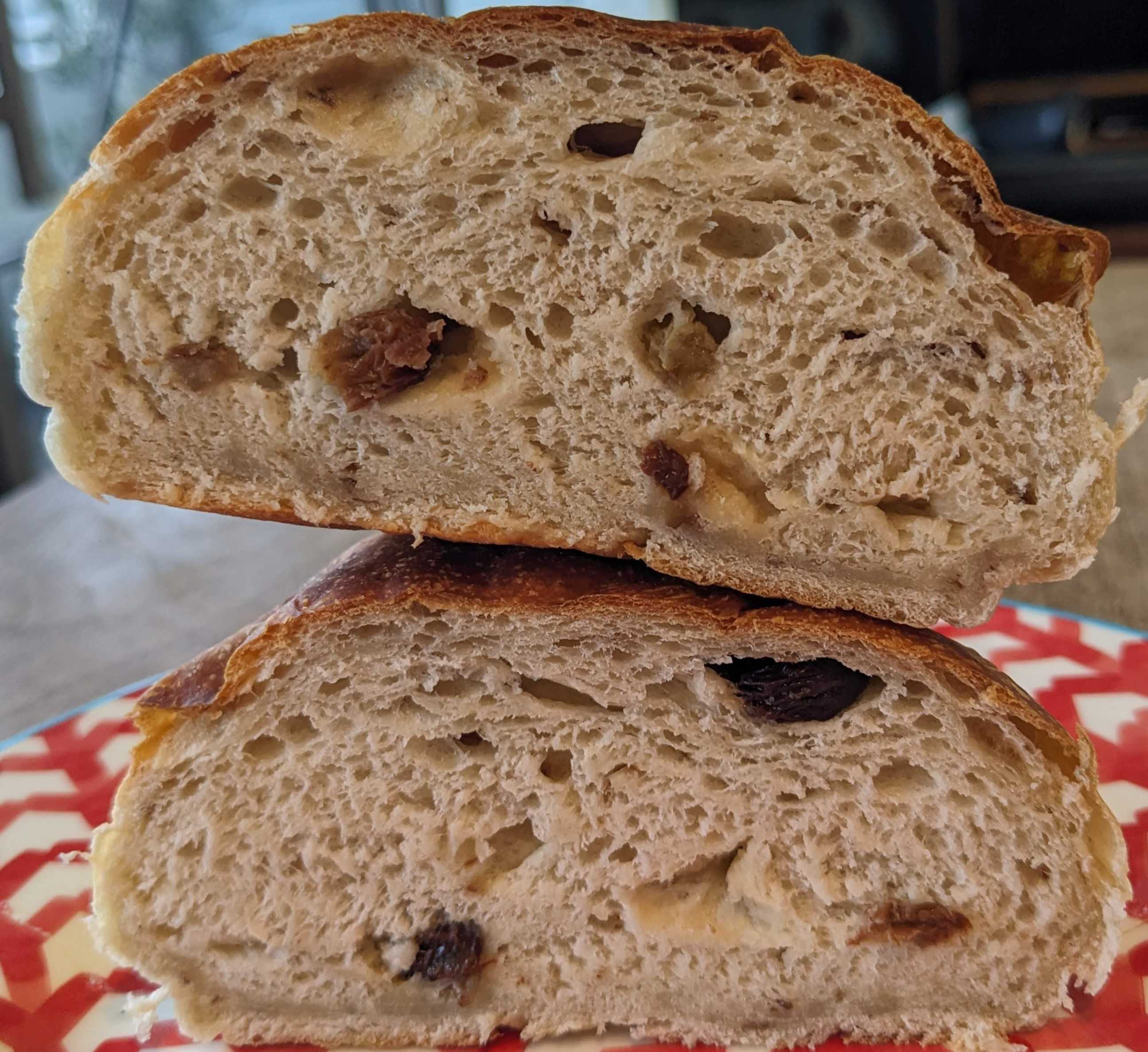 下田流の通販　ペロスケさんの巨峰と他にもレーズンをたくさん入れたぶどうパンの断面