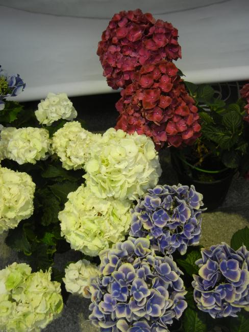 DSCN5884.JPG