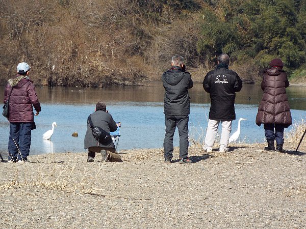 2016-02-18-kohakutyou-129-b.jpg