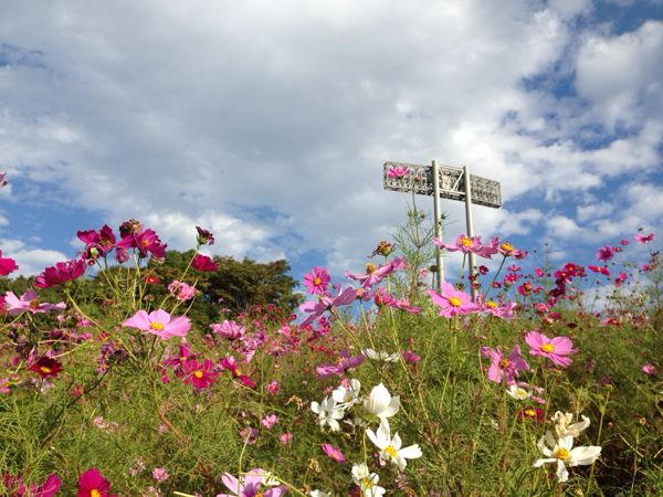 rblog-20141025152946-01.jpg