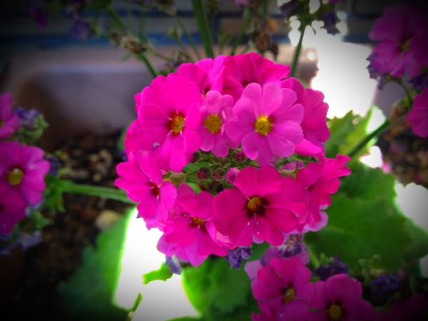 rblog-20141231135913-01.jpg