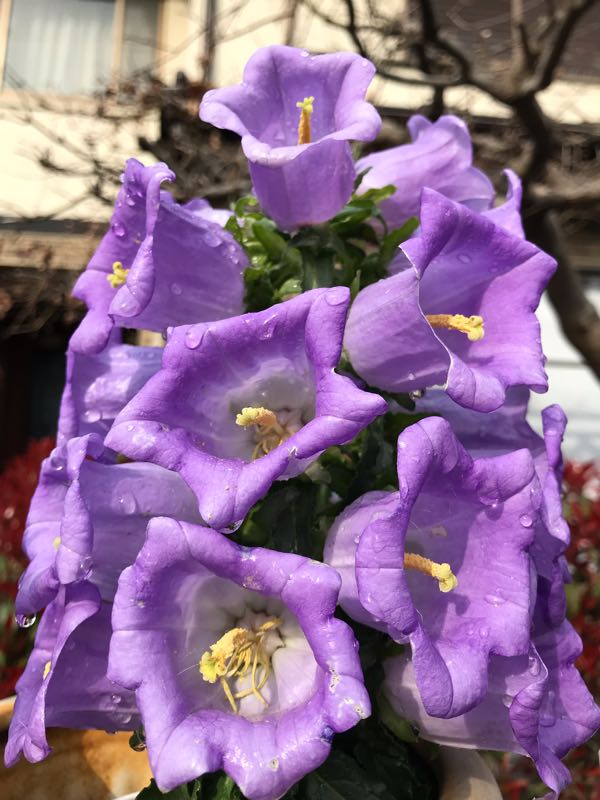 rblog-20190401163710-03.jpg
