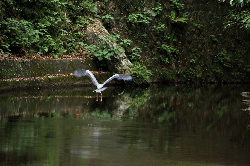 箕面公園_2-3.jpg