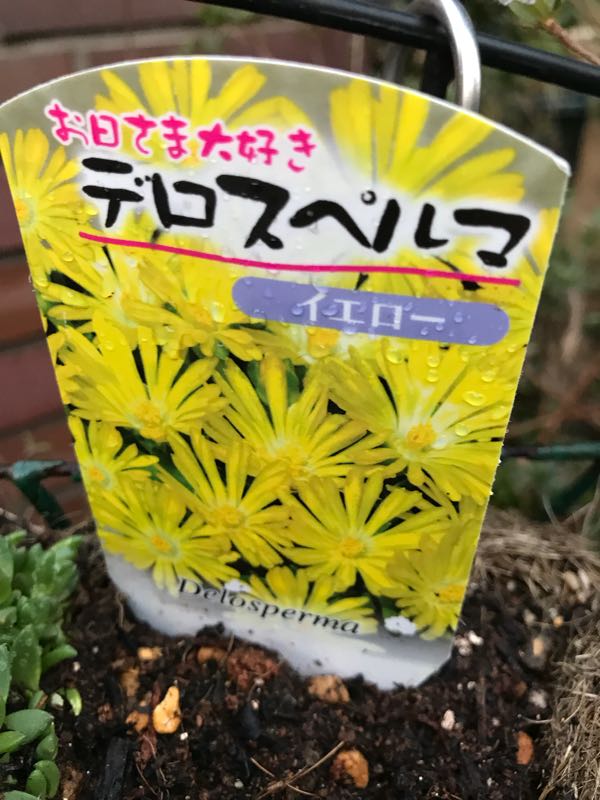 rblog-20180328191210-07.jpg