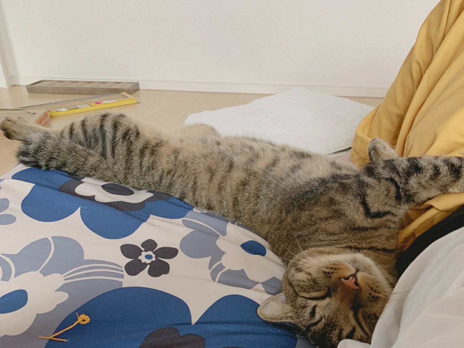 きのう何食べた 蒸し鶏タルタルぶっかけ 丸亀製麺inイーアスつくば 麦のキラクニブログ 楽天ブログ