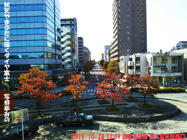 新着記事一覧 みのさんのフォト俳句エッセイ 楽天ブログ