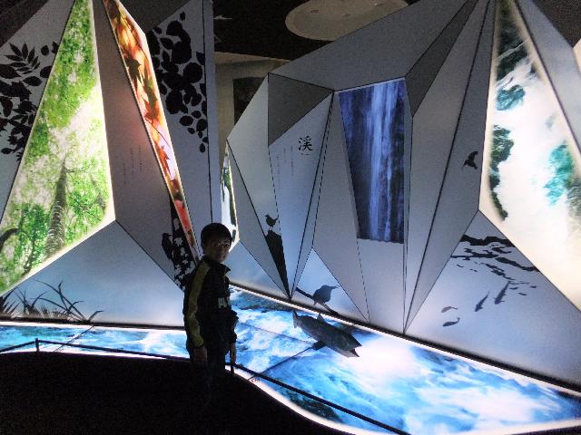 Dscf2785.jpg