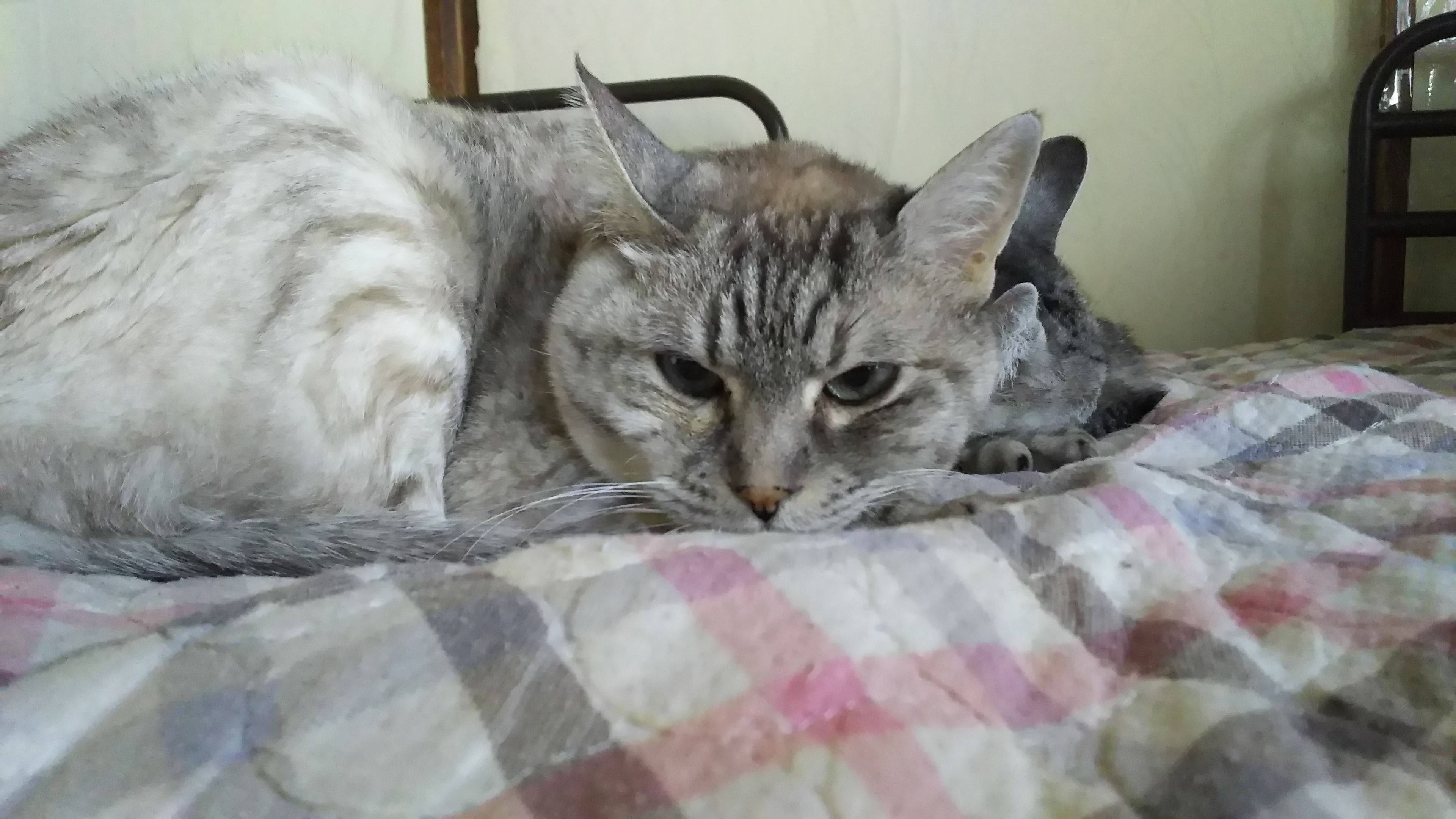 DSC_0427.JPG