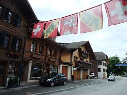 saanen2