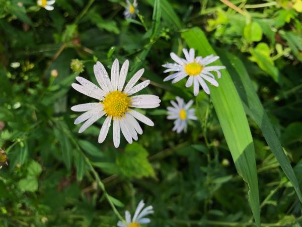 rblog-20170929122308-09.jpg