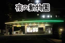 夜１.JPG